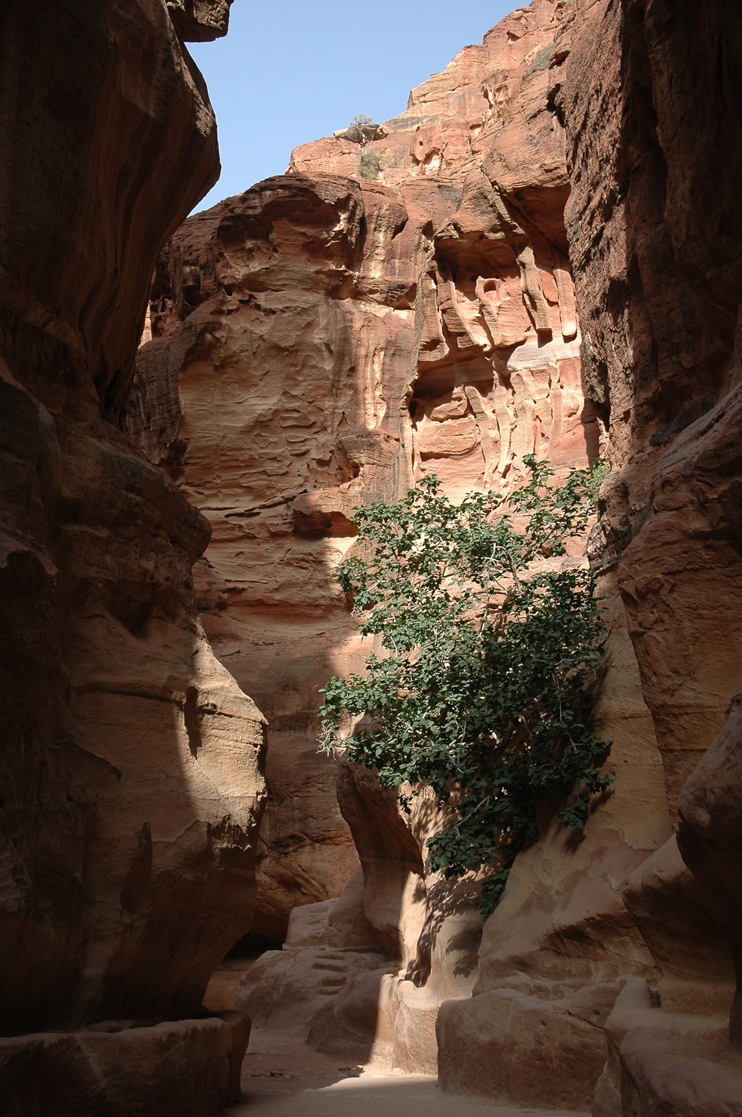 071   Petra